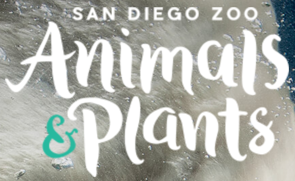 San Diego Zoo Animals and Plants